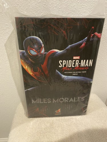 Hot toys spider - hot, miles