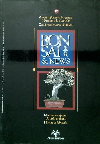 Bonsai news gennaio - bonsai, 57,