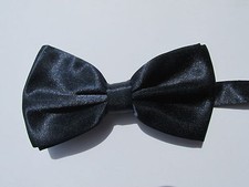Papillon farfalla seta - farfalla,