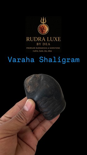 Varaha shaligram gandaki - varaha,