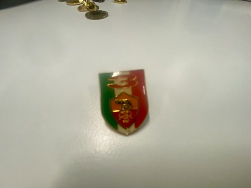 Pin spilla badge distintivo - pin,
