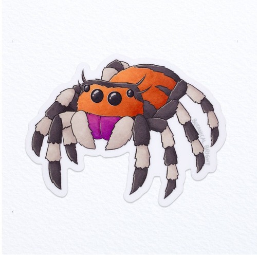 Adesivo jumping spider - spider,