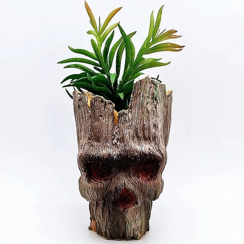 Stampo viso ceppo albero - , vaso