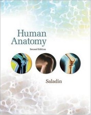 BY KENNETH S. SALADIN - HUMAN