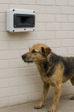 Repellente ultrasuoni per - , cane