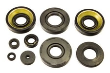 Kit anelli di tenuta motore 9