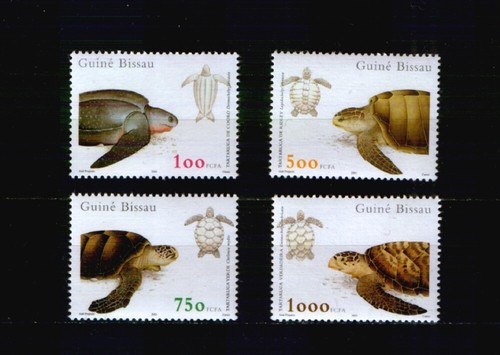 Guinea bissau 1702 - guinea-bissau, 1702-05