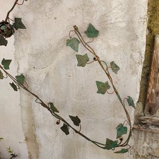 Antico lampadario aplique in - ,