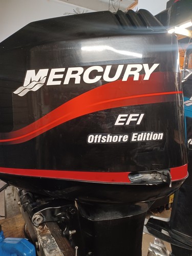 Mercury 225 outboard 20 - mercury,