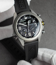 Citizen Promaster World Time