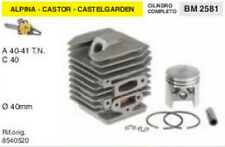 CILINDRO E PISTONE MOTOSEGA