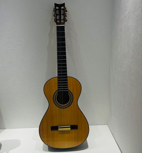 Chitarra aria a19c 100n - a19c-100n, xix