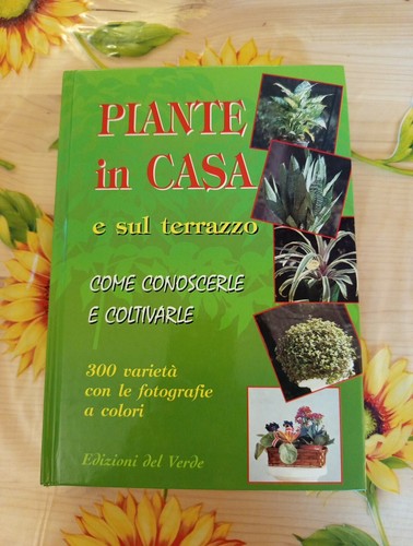 Piante casa sul - casa,