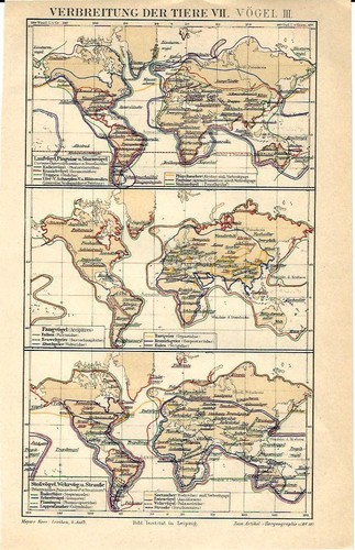 Carta geografica antica