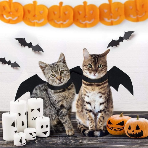 Costume pipistrello con - pipistrello, da