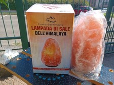 Lampada di sale rosa dell’Himalaya 100% naturale 