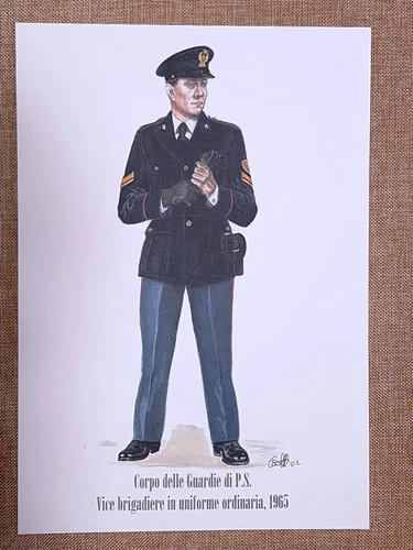 Corpo guardie vice - corpo,