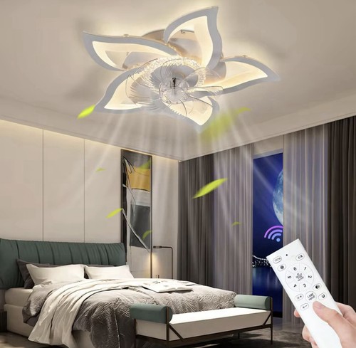 Ventilatore soffitto con - ventilatore,