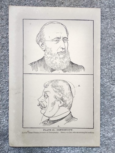 Continuity phrenology - continuity,