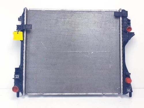 2002303 radiatore acqua jaguar - radiatore,
