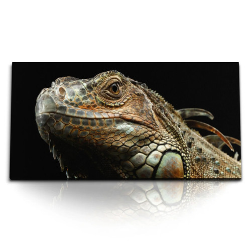 120x80cm kunstdruck bilder - 120x80cm,