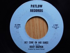 Ricky Drapkin Michigan Garage