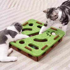 Puzzle Scatola Labirinto