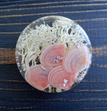 Tappi orecchie rosa salmone