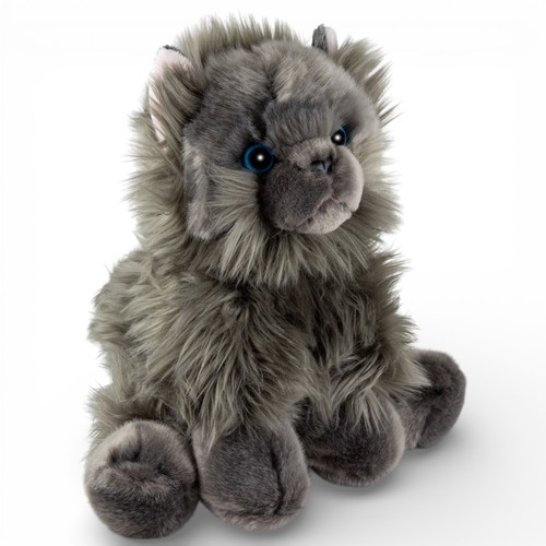 Carl dick gatto - gatto, persiano