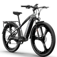 Bicicletta elettrica 29