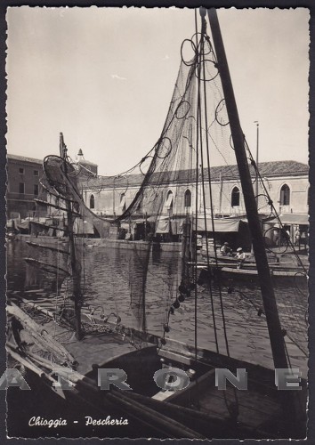 Venezia chioggia pescheria - 59,