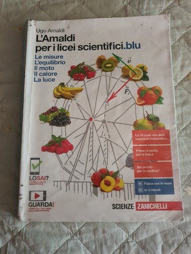 Amaldi per licei - l'amaldi, i
