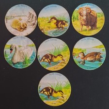 Gadget Nutella Francia