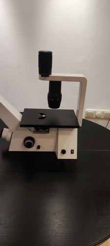 Zeiss axiovert microscopio - 25,