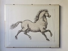 Francesco Messina litografia "Cavallo" 70x50, quadro cavallo con firma
