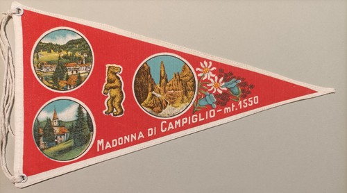 Fanion madonna campiglio - madonna,