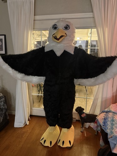 Costume mascotte aquila