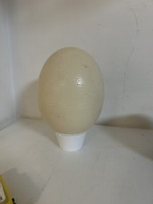 UOVO DI STRUZZO GRANDE INTEGRO ARREDO ARTE SOPRAMMOBILE VINTAGE