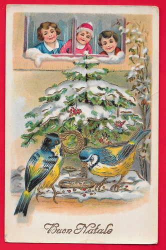 Buon natale anno - natale,