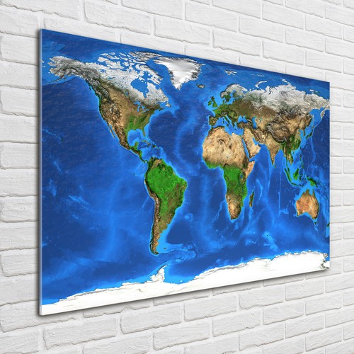 Tulup glass print - wall, art