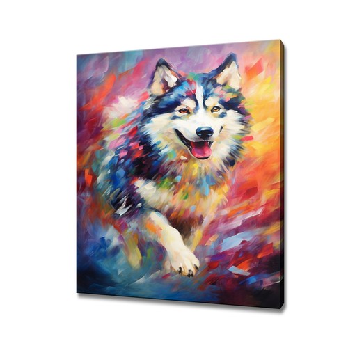 Alaskan malamute dog colourful - malamute,
