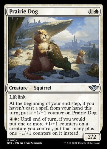 Prairie dog - dog, (24)