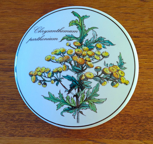 Villeroy boch botanica - villeroy,