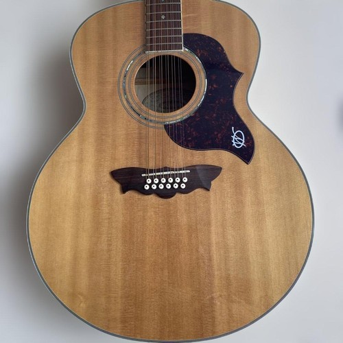 Chitarra washburn j28s12dlk - washburn,