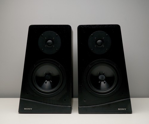 Altoparlante sony b40es - altoparlante, ss-b40es