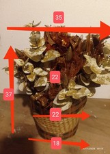 centrotavola Addobbo Vetrine