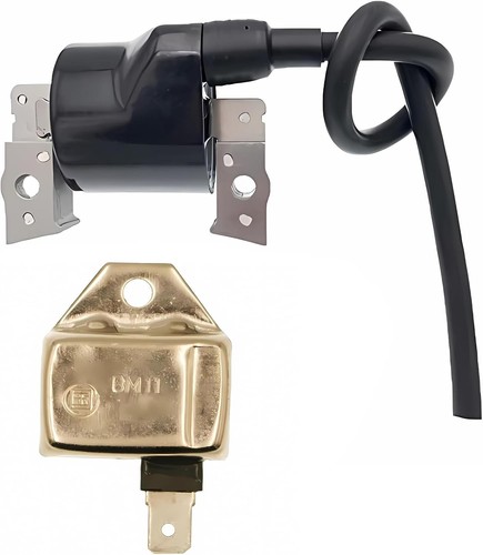 Modulo bm11 21119 - 21119-2161, con