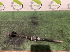 SEMIASSE ANTERIORE DESTRO DX