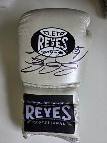 Guantone boxe firmato - guantone,