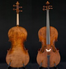 Stupendo violoncello 1/2 tono